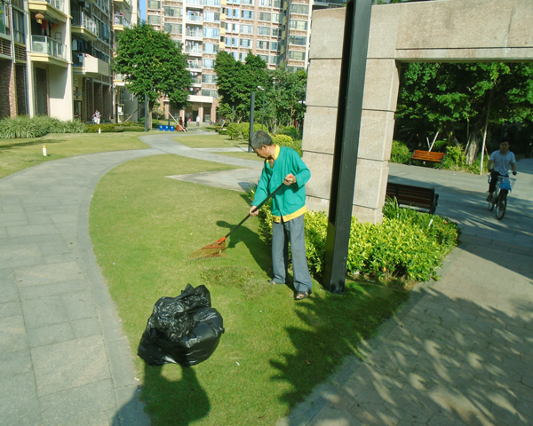 小区绿化垃圾清理