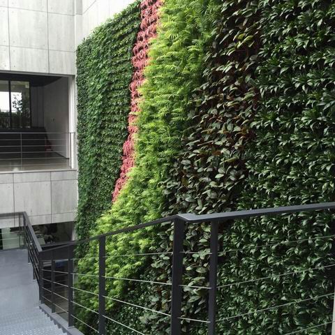 立体植物墙  绿化墙